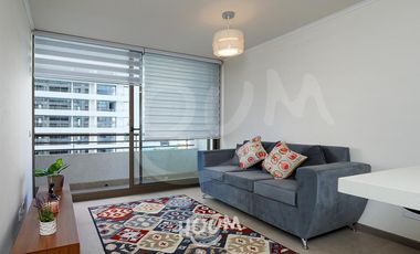 Departamento Industrial santa carolina ID: 126894r