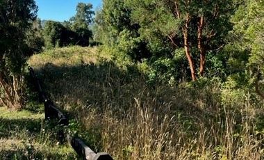 Sitio en Venta en PUYEHUE