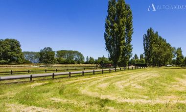 Sitio en Venta en PUYEHUE
