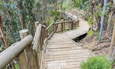 Departamento Rodelillo ID: 141291r