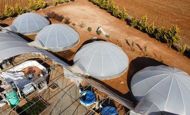 EN VENTA PREDIO RUSTICO GUADALUPE ZACATECAS