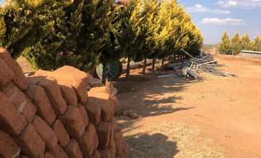 EN VENTA PREDIO RUSTICO GUADALUPE ZACATECAS