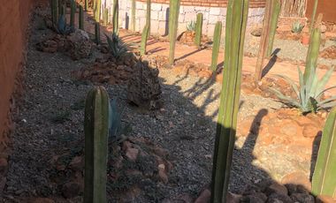 EN VENTA PREDIO RUSTICO GUADALUPE ZACATECAS