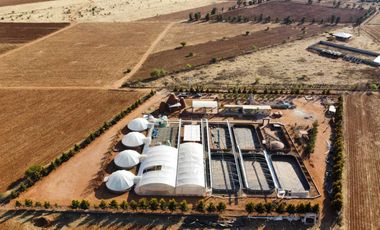 EN VENTA PREDIO RUSTICO GUADALUPE ZACATECAS