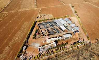 EN VENTA PREDIO RUSTICO GUADALUPE ZACATECAS