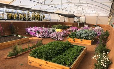 EN VENTA PREDIO RUSTICO GUADALUPE ZACATECAS