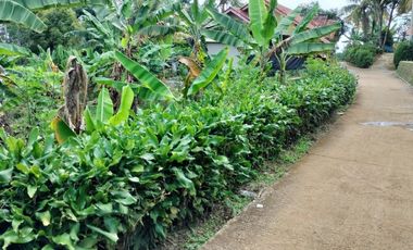 Jual butuh cepat kebun pinggir jalan Desa Darangdan Purwakarta Jawa Barat