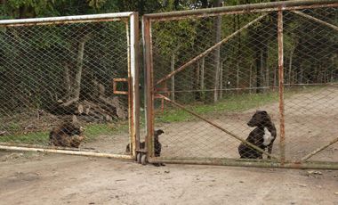 EXCELENTE QUINTA TIPO GRANJA DE SIETE HECTÁREAS EN BARRIO MALAVER PARTIDO DE MORENO PROVINCIA DE BUENOS AIRES