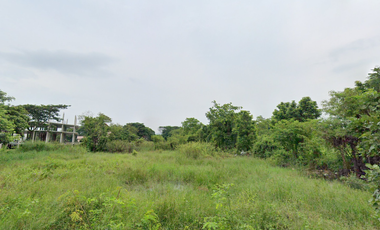Land for sale in Nong Chom, Chiang Mai