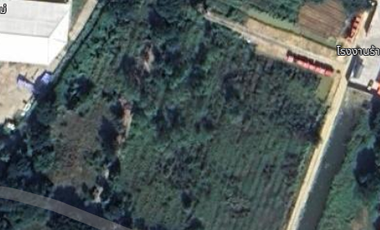 Land for sale in Nong Chom, Chiang Mai