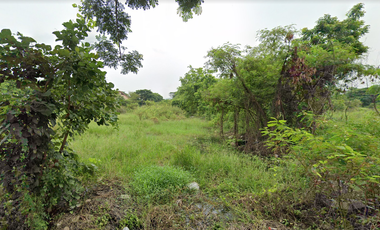 Land for sale in Nong Chom, Chiang Mai