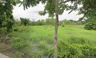 Land for sale in Nong Chom, Chiang Mai