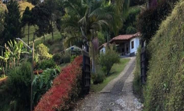 finca en venta en vereda la amapola. Cod V400632