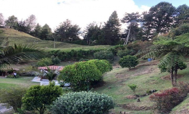 finca en venta en vereda la amapola. Cod V400632