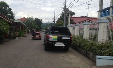 A well maintained House and lot for sale, San Juan, La Union
