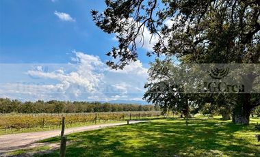 TERRENO EN VENTA EN PARRAS HACIENDA DEL MARQUÉS