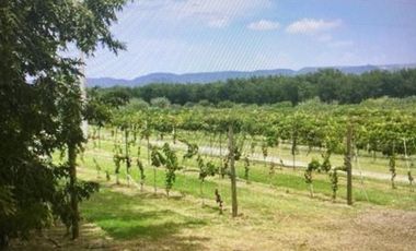 TERRENO EN VENTA EN PARRAS HACIENDA DEL MARQUÉS
