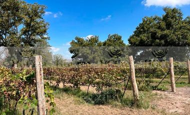 TERRENO EN VENTA EN PARRAS HACIENDA DEL MARQUÉS
