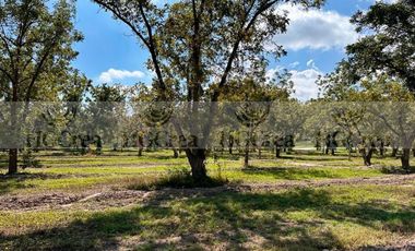 TERRENO EN VENTA EN PARRAS HACIENDA DEL MARQUÉS