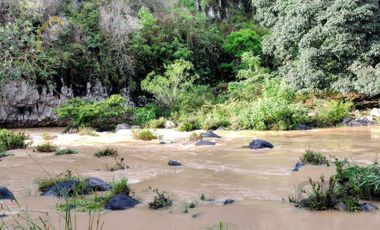 Terreno en propiedad de 60 Ha con 2 ríos en Cerro Gordo Veracruz