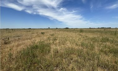 Campo en venta en Ranchos. 40 Has. ganaderas