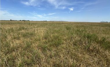 Campo en venta en Ranchos. 40 Has. ganaderas