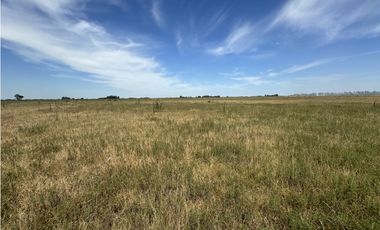Campo en venta en Ranchos. 40 Has. ganaderas