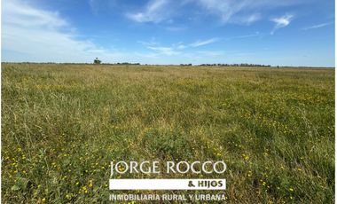 Campo en venta en Ranchos. 40 Has. ganaderas