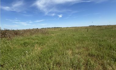 Campo en venta en Ranchos. 40 Has. ganaderas