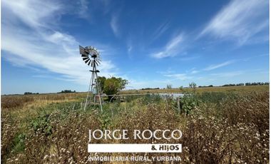 Campo en venta en Ranchos. 40 Has. ganaderas