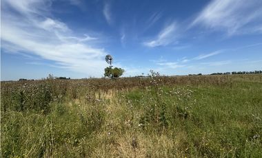 Campo en venta en Ranchos. 40 Has. ganaderas