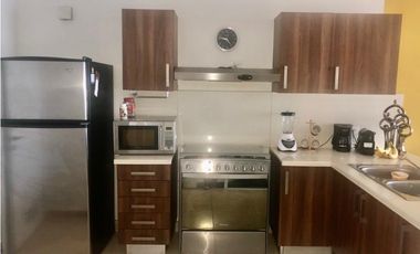 APARTAMENTO AMOBLADO EN ALQUILER CON VISTA AL MAR PH OASIS