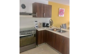 APARTAMENTO AMOBLADO EN ALQUILER CON VISTA AL MAR PH OASIS