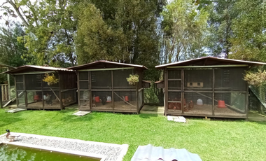 finca en venta en vereda la amapola. Cod V400540