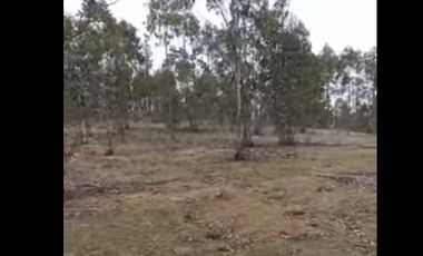 Parcela en venta en Pichilemu