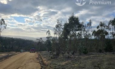Parcela en venta en Pichilemu