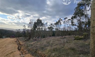 Parcela en venta en Pichilemu