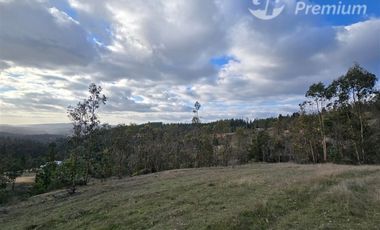 Parcela en venta en Pichilemu