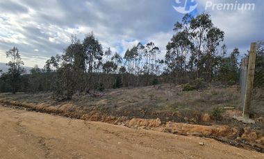Parcela en venta en Pichilemu