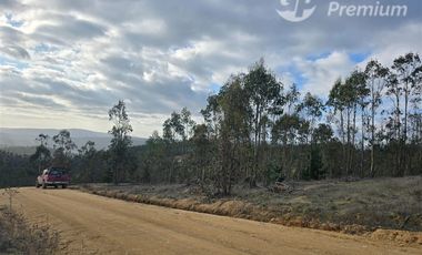 Parcela en venta en Pichilemu