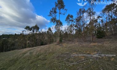 Parcela en venta en Pichilemu