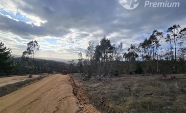 Parcela en venta en Pichilemu