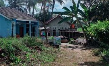 rumah murah sleman jalan kebon agung minggir jogja