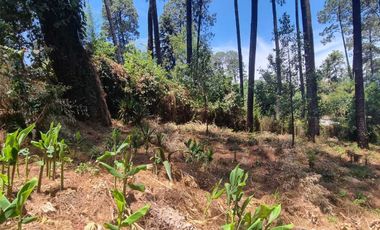 Terreno en venta, Zona Avándaro
