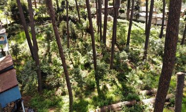 Terreno en venta, Zona Avándaro