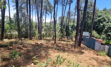 Terreno en venta, Zona Avándaro