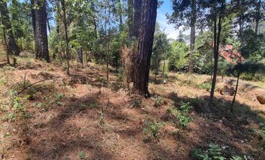 Terreno en venta, Zona Avándaro