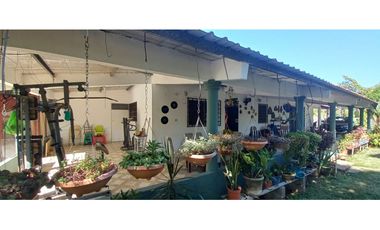 VENTA DE CASA EN PENONOME CON 1,400 MT2 - SOBRE LA VIA INTERAMERICANA
