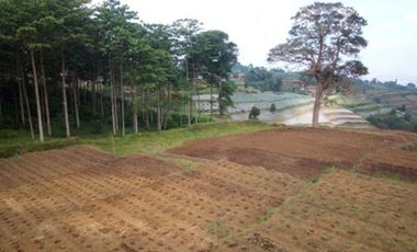 65 Kavling @ 120 M2 di Rumah Kayu Kampung Hijau, PakuHaji, Bandung Barat