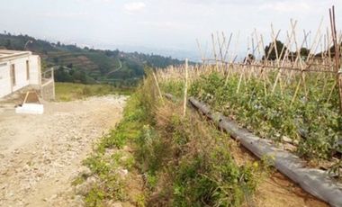 65 Kavling @ 120 M2 di Rumah Kayu Kampung Hijau, PakuHaji, Bandung Barat